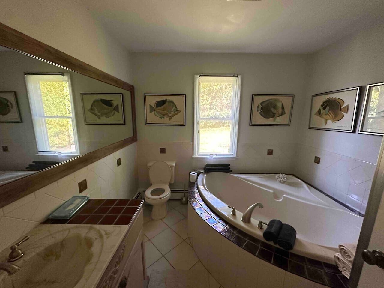 Jetted tub, hair dryer, towels, soap