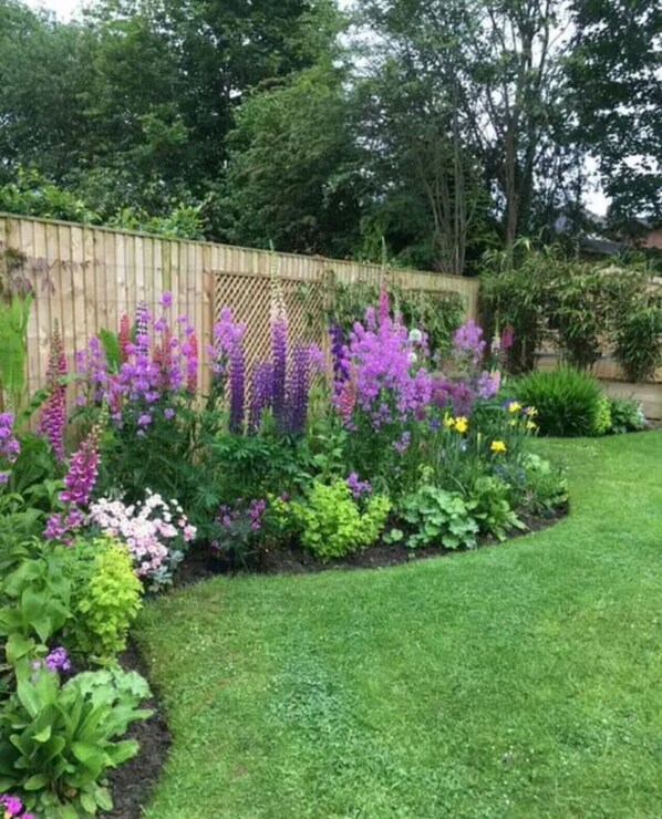 Un jardin avec différentes sortes de plantes et une clôture en bois.