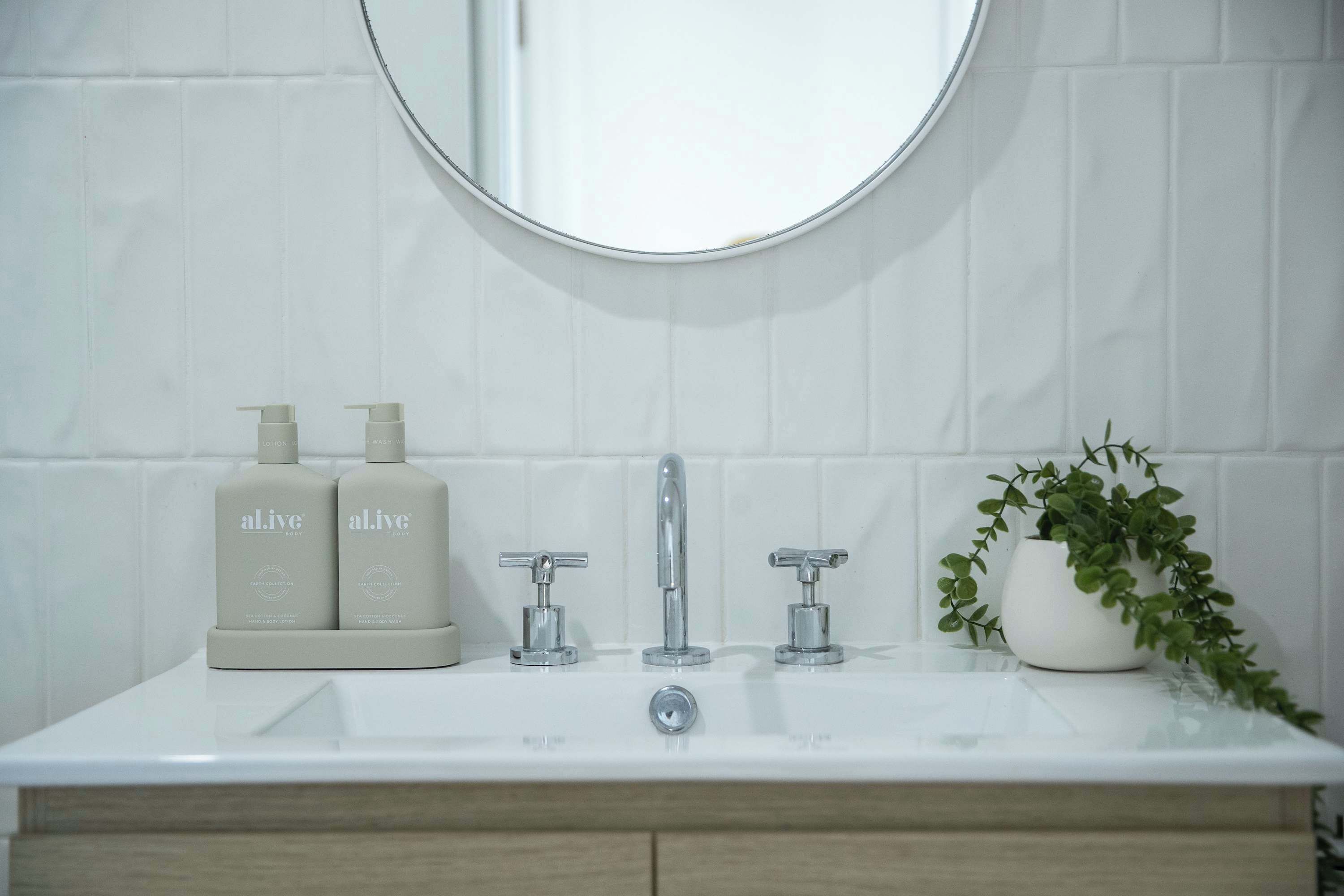 A bathroom with a white sink, two bottles of lotion, a mirror, and a potted plant.