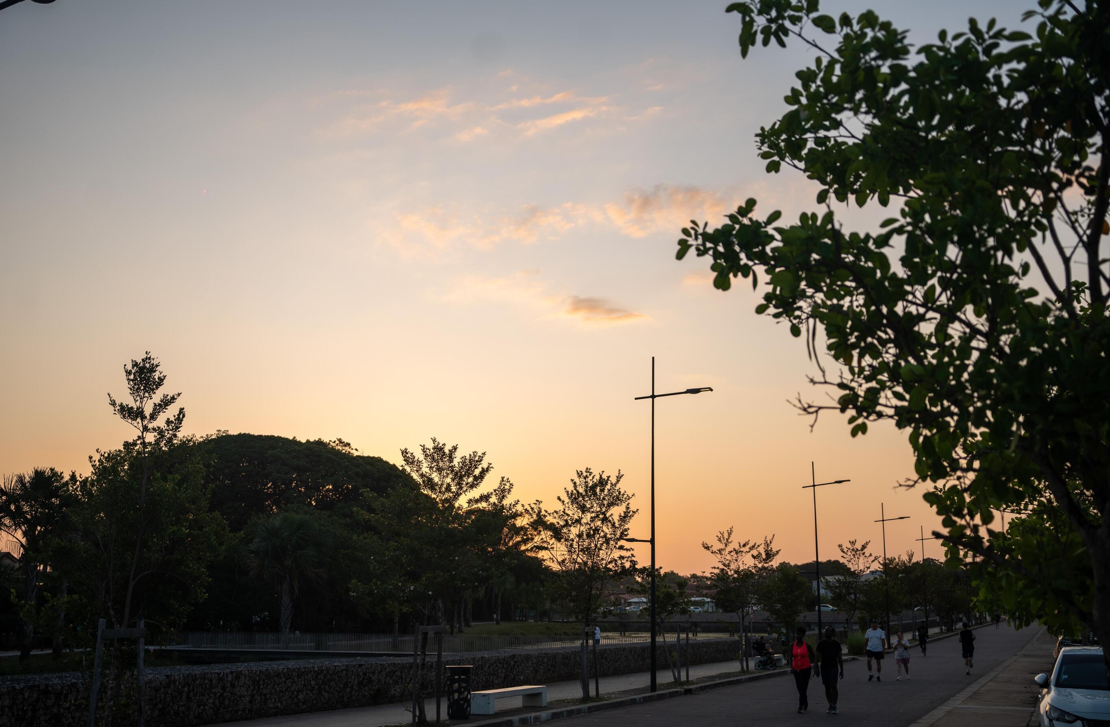 Vista del atardecer con árboles, una calle y algunas personas caminando.