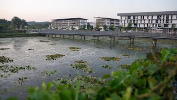 室外泳池
