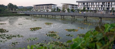 A waterfront promenade with a pedestrian bridge, modern buildings, and a natural water body with floating vegetation.