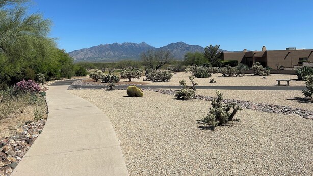 A desert landscape with a paved walkway, cacti, and a building with a flat roof. - 55+ 2-bedroom, 2-bathroom Townhouse in The Springs at Santa Rita of Green Valley (The Springs At Santa Rita, Green Valley)