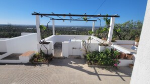 Terraza en la azotea con pérgola, plantas en macetas y vistas de la ciudad.