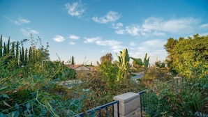 Um jardim com diversas plantas e um muro de tijolos.