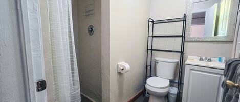 Een badkamer met toilet, douche en wastafel.