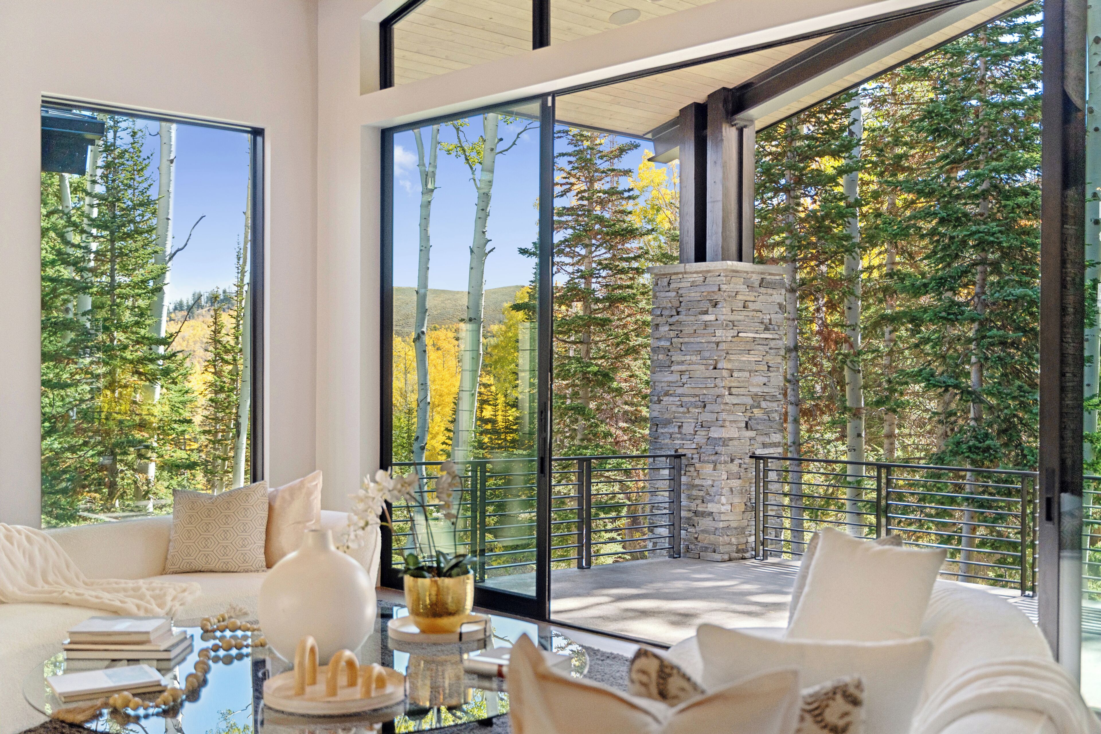 Smart-TV, Kamin, Bücher, Stereoanlage