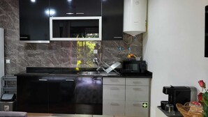 A modern kitchen with a built-in microwave, a sink, and a dishwasher. - Accommodation Belo Horizonte (Alfena)