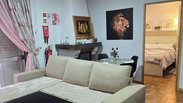 A living room with a sofa, a coffee table, a fireplace, and a painting on the wall. - Accommodation Belo Horizonte (Alfena)