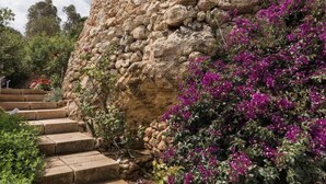 A stone staircase leading up to a rocky wall with purple flowers. - Property With Pool Access - Xaghra Near Marsalforn (Xaghra)
