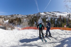 Sne- og skisport