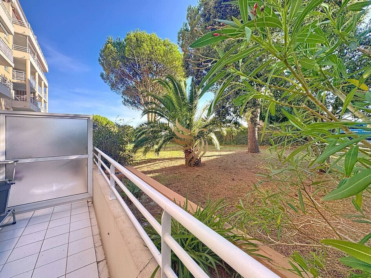 A balcony with a metal railing, a palm tree, and a building in the background.