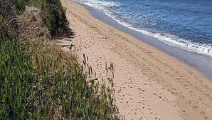 Ein Strand mit Sand und Wellen.