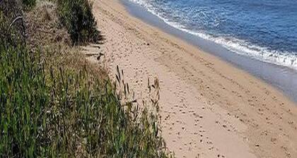 Beautiful apartment, bush backdrop, kangaroos and a short walk to the beach.
