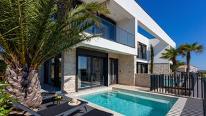 Pool - Palm Villa Petra with Pool, Medulin, Croatia (Medulin)