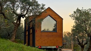 Una pequeña cabaña de madera con un ventanal grande, rodeada de árboles.