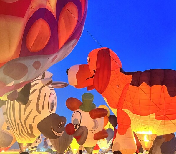 Miscellaneous - Cozy 2-bedroom house with Private Hot Tub! Centrally Located in Albuquerque! (Albuquerque)