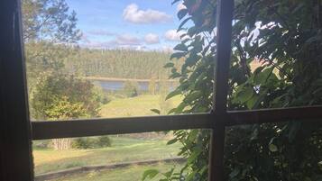 A view through a window with a view of a lake, trees, and a grassy area.