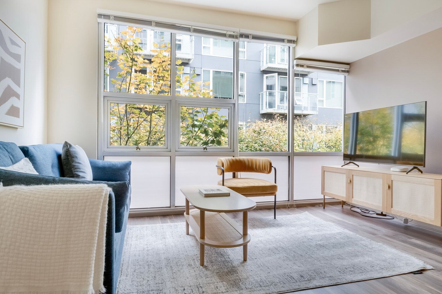 Télévision, chaîne hi-fi