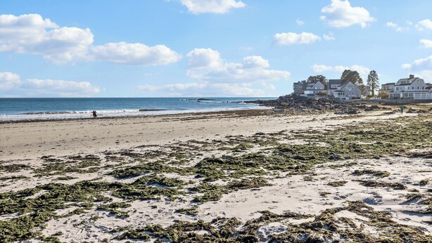 Beach - Fairview Cottage Coastal Getaway, steps to the beach & close to golf course (Kennebunk)