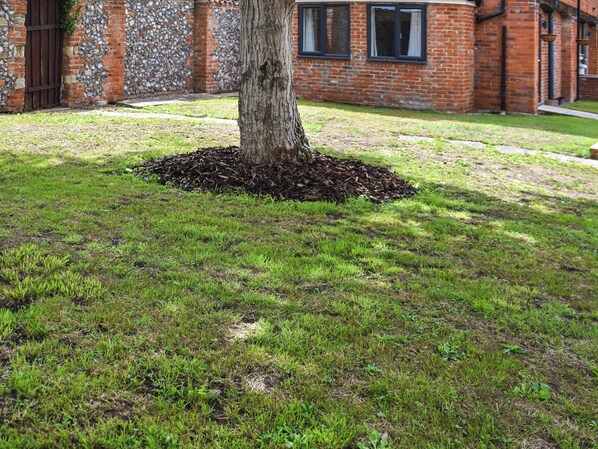 Unclassified image, 1 of 1, button