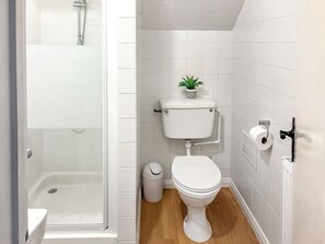 A bathroom with a shower, toilet, and a small potted plant.