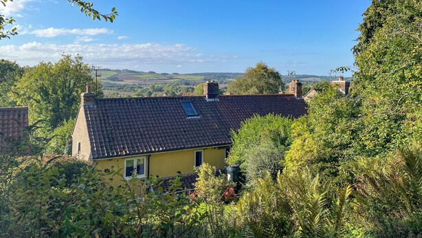 A yellow house with a tiled roof, surrounded by dense greenery and trees. - 3 bedroom accommodation in Ampleforth, near Helmsley (Ampleforth, near Helmsley)