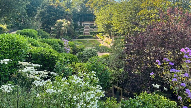 A lush garden with a variety of plants and flowers, a pathway, and a building in the background.