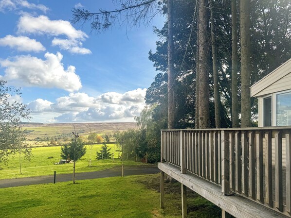 Property grounds - Emerald Pines - UK50577 (Hexham)