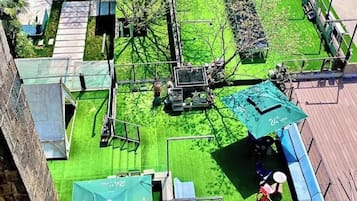 Senior Room | View from room