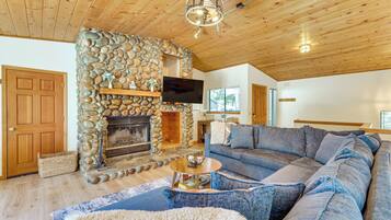 Televisión, chimenea y libros