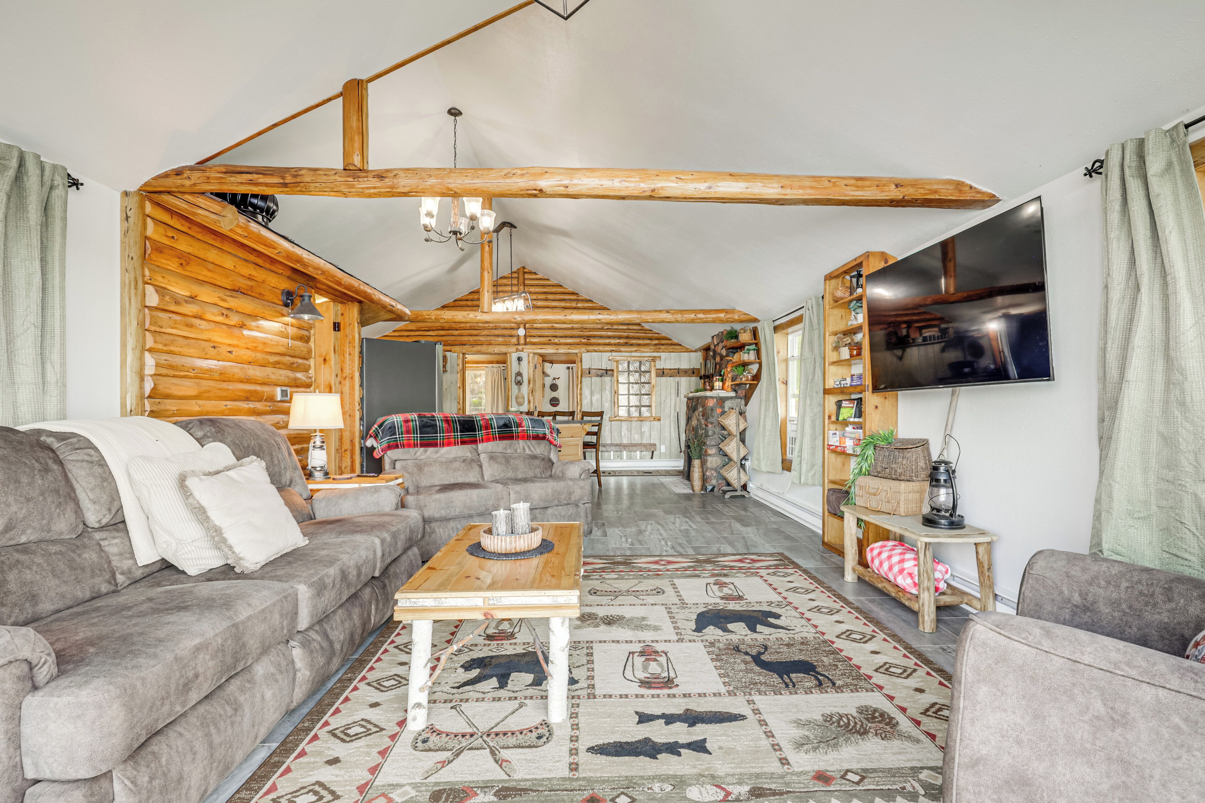 TV, fireplace, books