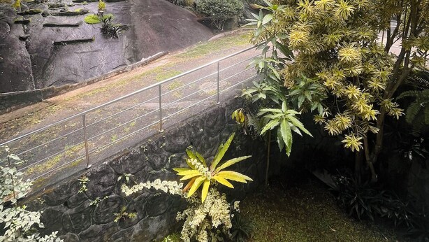 A pathway surrounded by lush greenery and a stone wall. - Greenbell Kandy (Kandy)