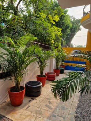 A courtyard with potted plants and a yellow wall. - TNC Lucknow by The Nomad Cave Hostel (Lucknow)