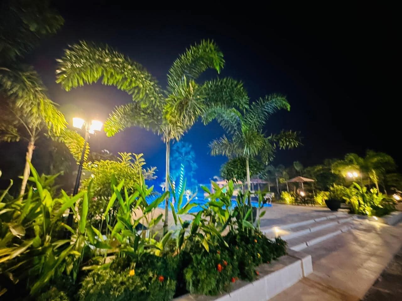 A nighttime outdoor area with palm trees, a pool, and a well-lit pathway.