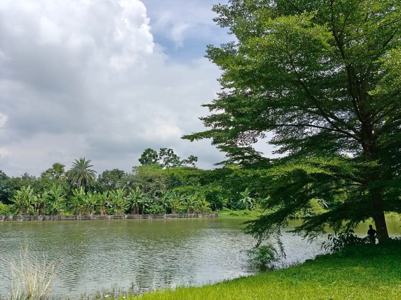 A calm lake surrounded by lush greenery and trees.