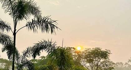 Garden Centre Resort