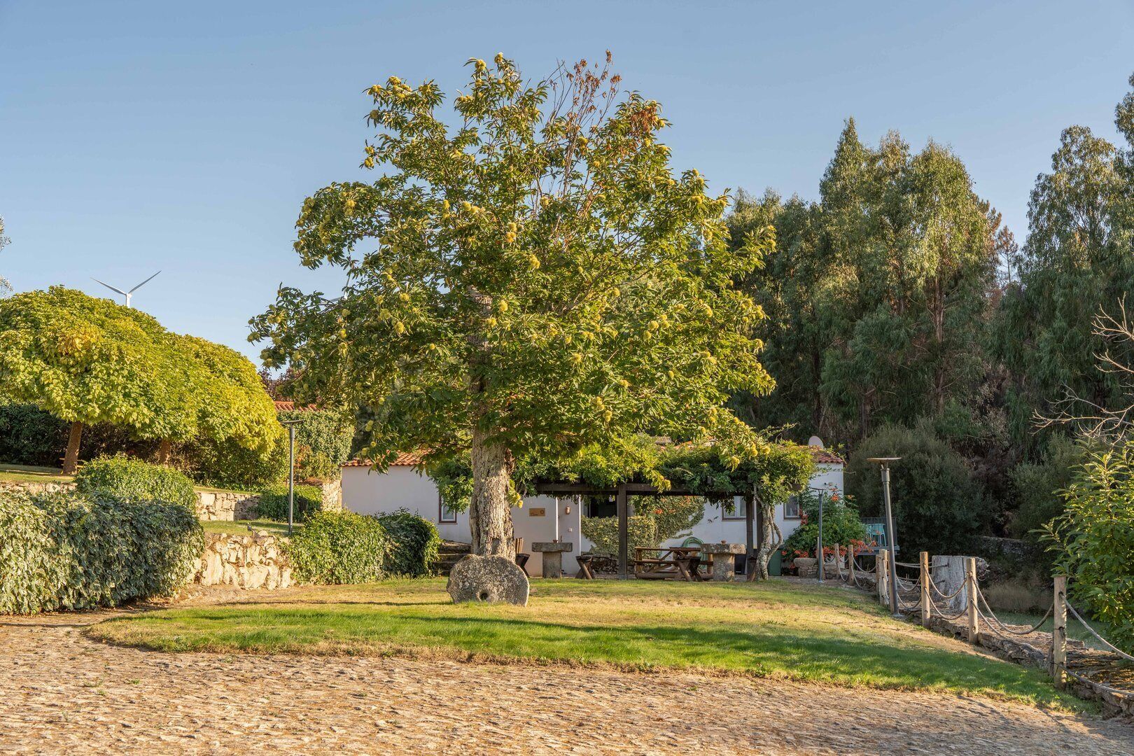 Overnatningsstedets område