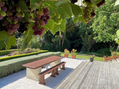 Akaroa romantic retreat with stream boundary, native bush, bird song, privacy.