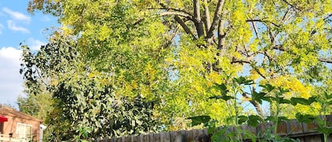 Terrain de lâhĂ©bergement