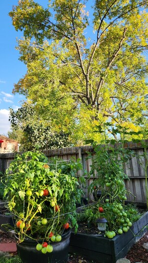 Property grounds - The Cove In New Millard 3Bed 2Bth Hotub Multi-lvl Deck Seats 8. Modern Split lvl (Omaha)