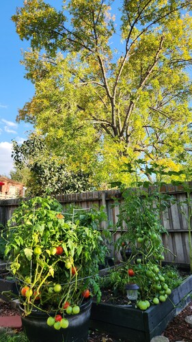 The Cove In New Millard 3Bed 2Bth Hotub Multi-lvl Deck Seats 8. Modern Split lvl