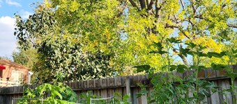 The Cove In New Millard 3Bed 2Bth Hotub Multi-lvl Deck Seats 8. Modern Split lvl