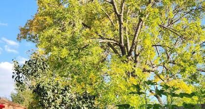 The Cove In New Millard 3Bed 2Bth Hotub Multi-lvl Deck Seats 8. Modern Split lvl