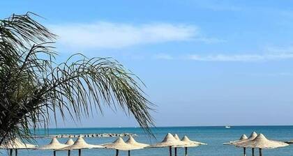 Studio • Side Sea View • Pool • Turtles Beach