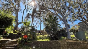 A garden with stone steps leading up to a house, surrounded by various trees and plants. - Large architect designed home directly overlooking the Royal National Park (Bundeena)