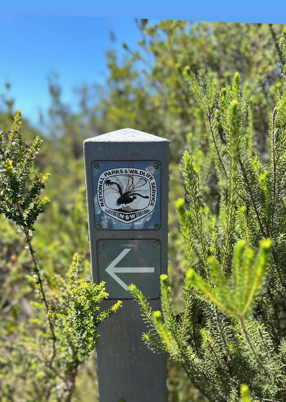 Een richtingwijzer met het logo van National Parks & Wildlife Service NSW, dat een afslag links aangeeft.