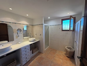 Shower, hair dryer, towels