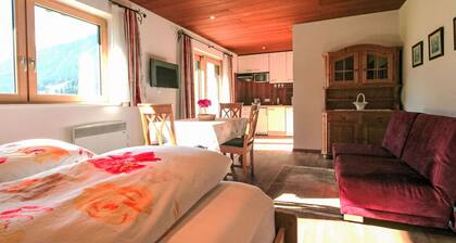 Nice apartment for 6 guests with WIFI, TV and terrace