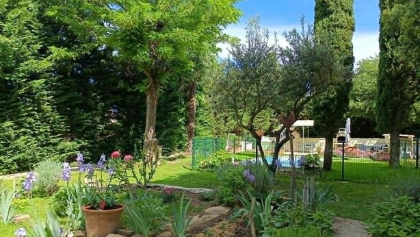 Un jardín con un sendero de piedra, diversas plantas y árboles.